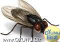 Fly play games