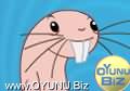 Find Your Wife
Rufus play games