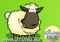 Lamb
Lamb play games